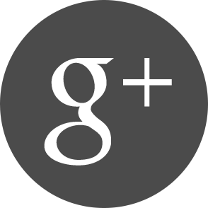 Google+